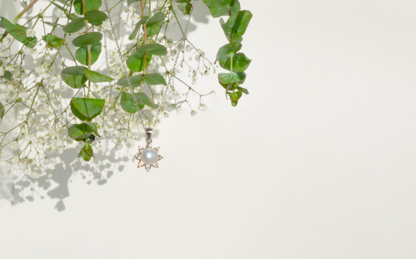 NM in White Puala