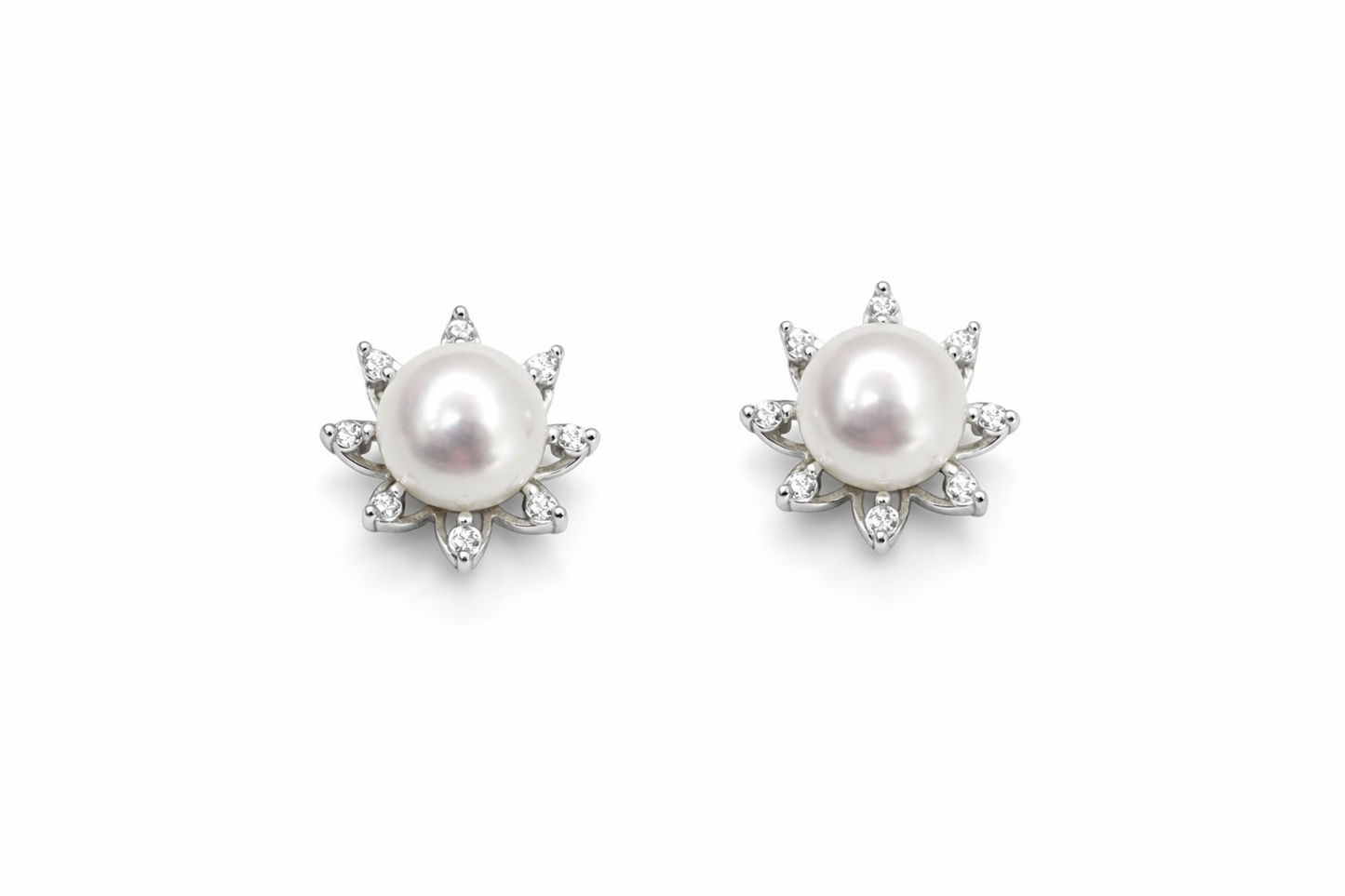 NM White Puala
